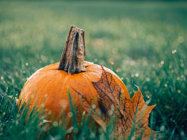 fall-recipes-pumpkin