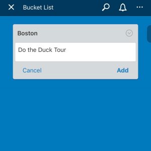 examples of bucket list goals