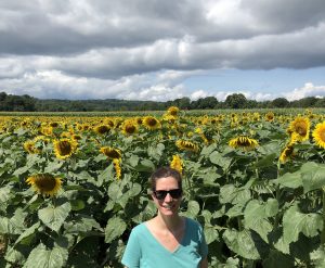 sunflower-fields-ct