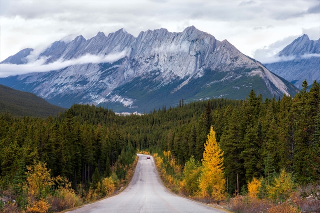 calgary alberta in canada