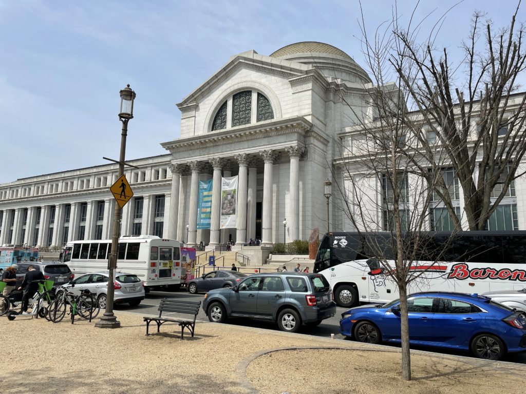 the museum of natural history